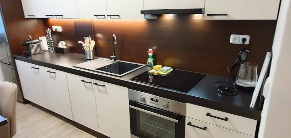 Academic Apartment Brno Luaran gambar
